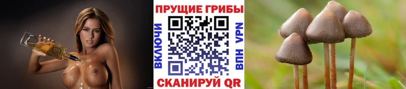 Псилоцибиновые грибы GOLDEN TEACHER Тырныауз